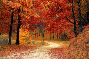 Wanna Get Away? Making the Case for Time in Nature